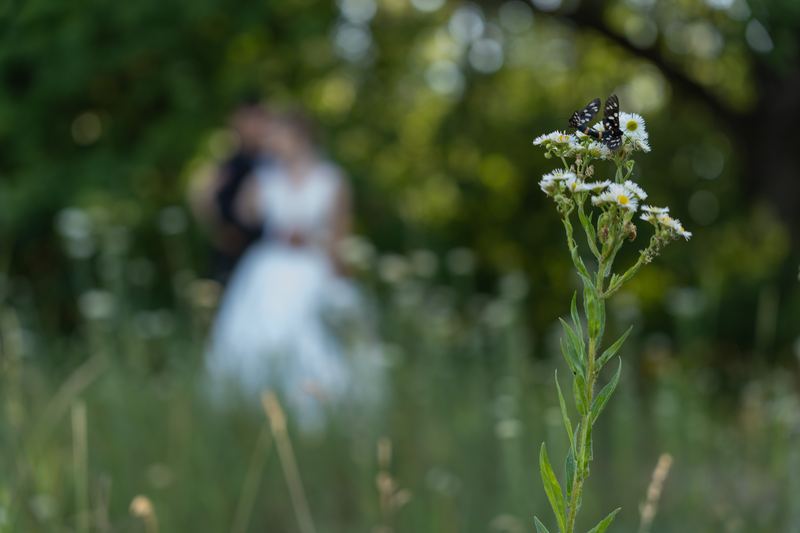9. nunti — fotografie de Tina Genovia (12/172)